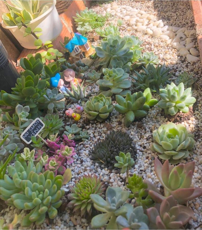 بيت شباب Nu Cuoi Xinh دالات المظهر الخارجي الصورة